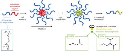 RIG-I and TLR-7/8 agonists as combination adjuvant shapes unique antibody and cellular vaccine responses to seasonal influenza vaccine